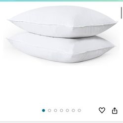 Pillows 22x18