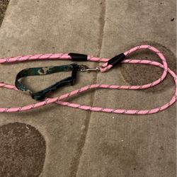 A Collar And A Leash 