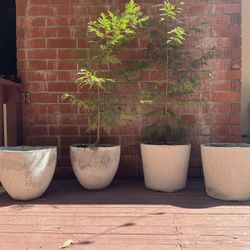 Rustic Handmade Cement Pots