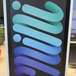 iPad Mini - 256GB