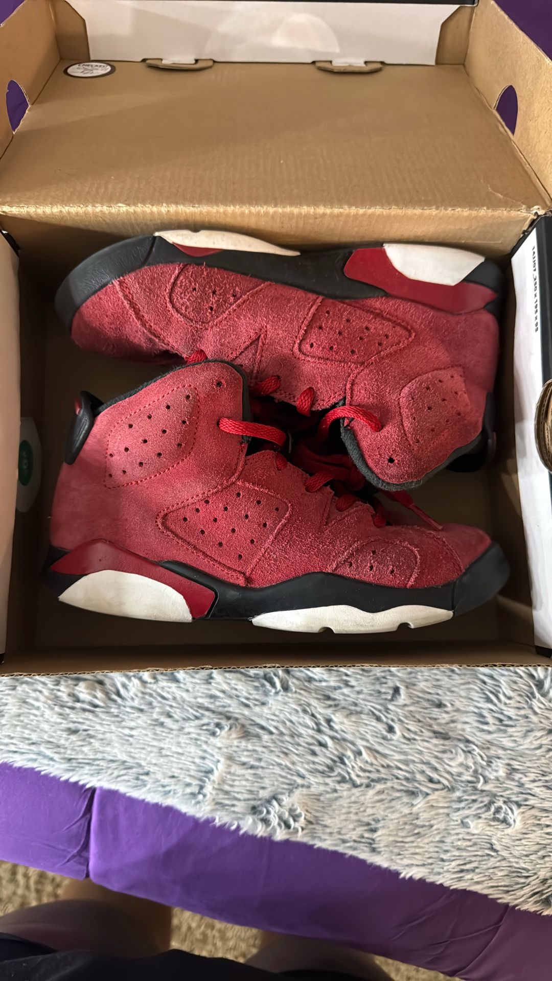 Air Jordan 6