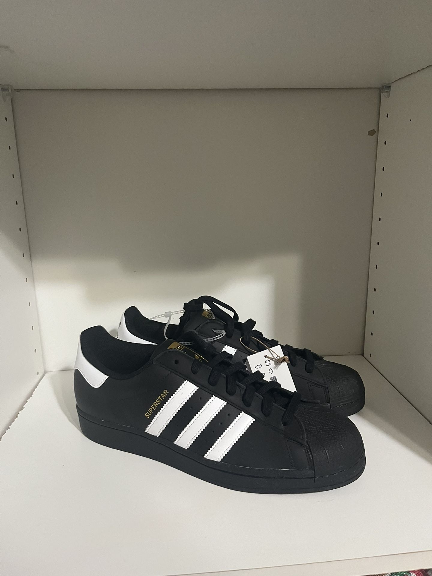 Adidas Superstar/shelltoe