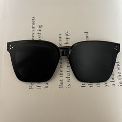 gentle monster her 01 mens womens sunglasses