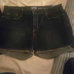 Ladies Shorts 