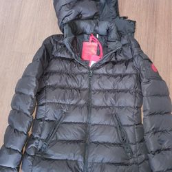 New Moncler Female Jacket 