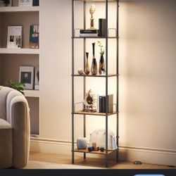 Display Shelf with Lights