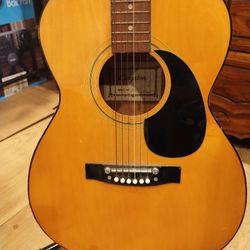 Kingston Guitar and Stand 