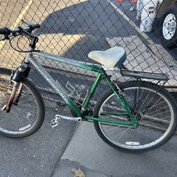 Adult bike