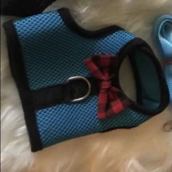 Harness