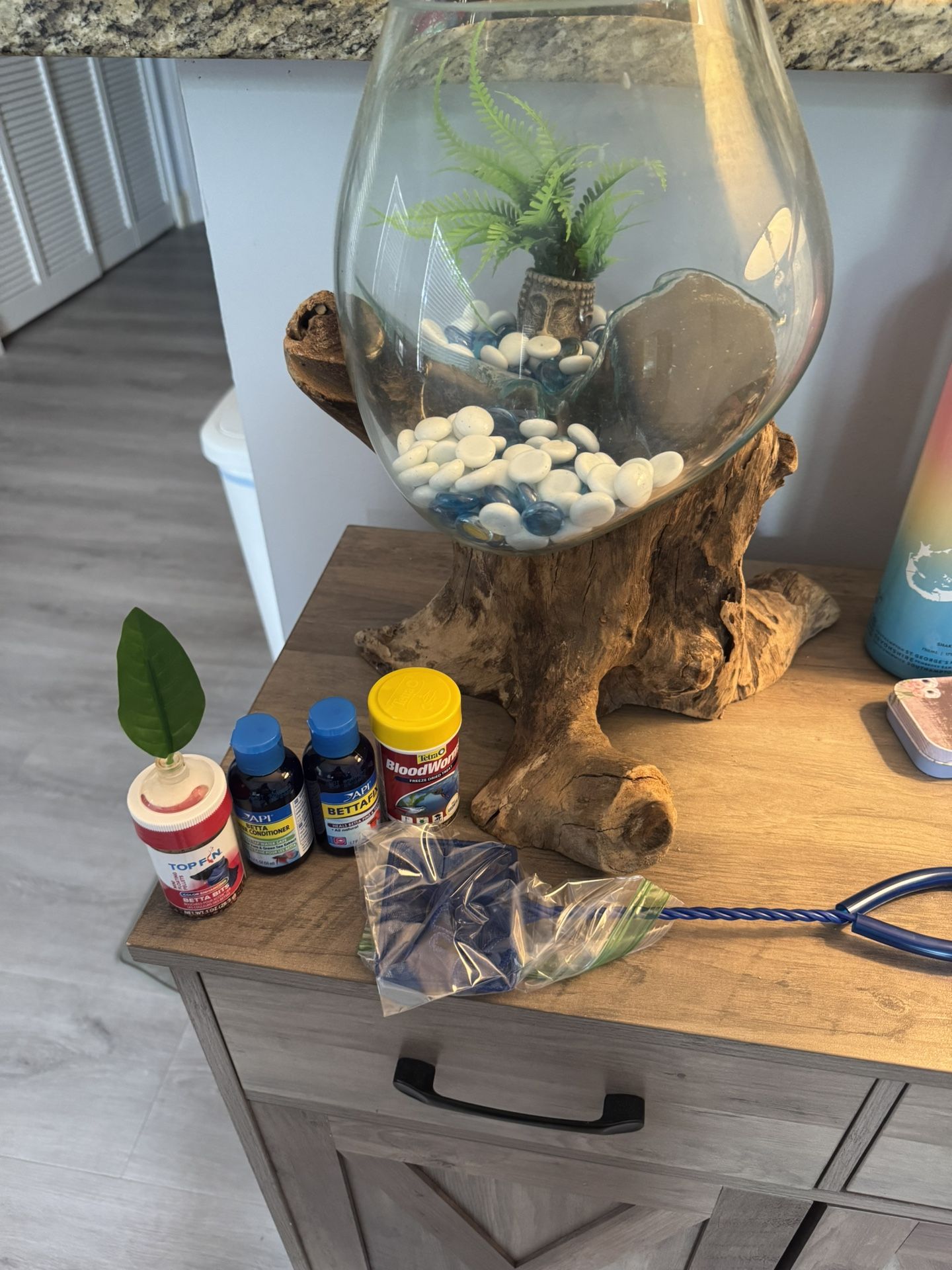 Betta Fish Tank