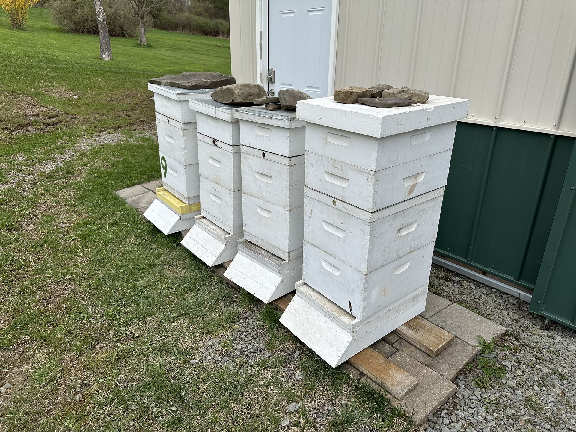 Bee Hives 