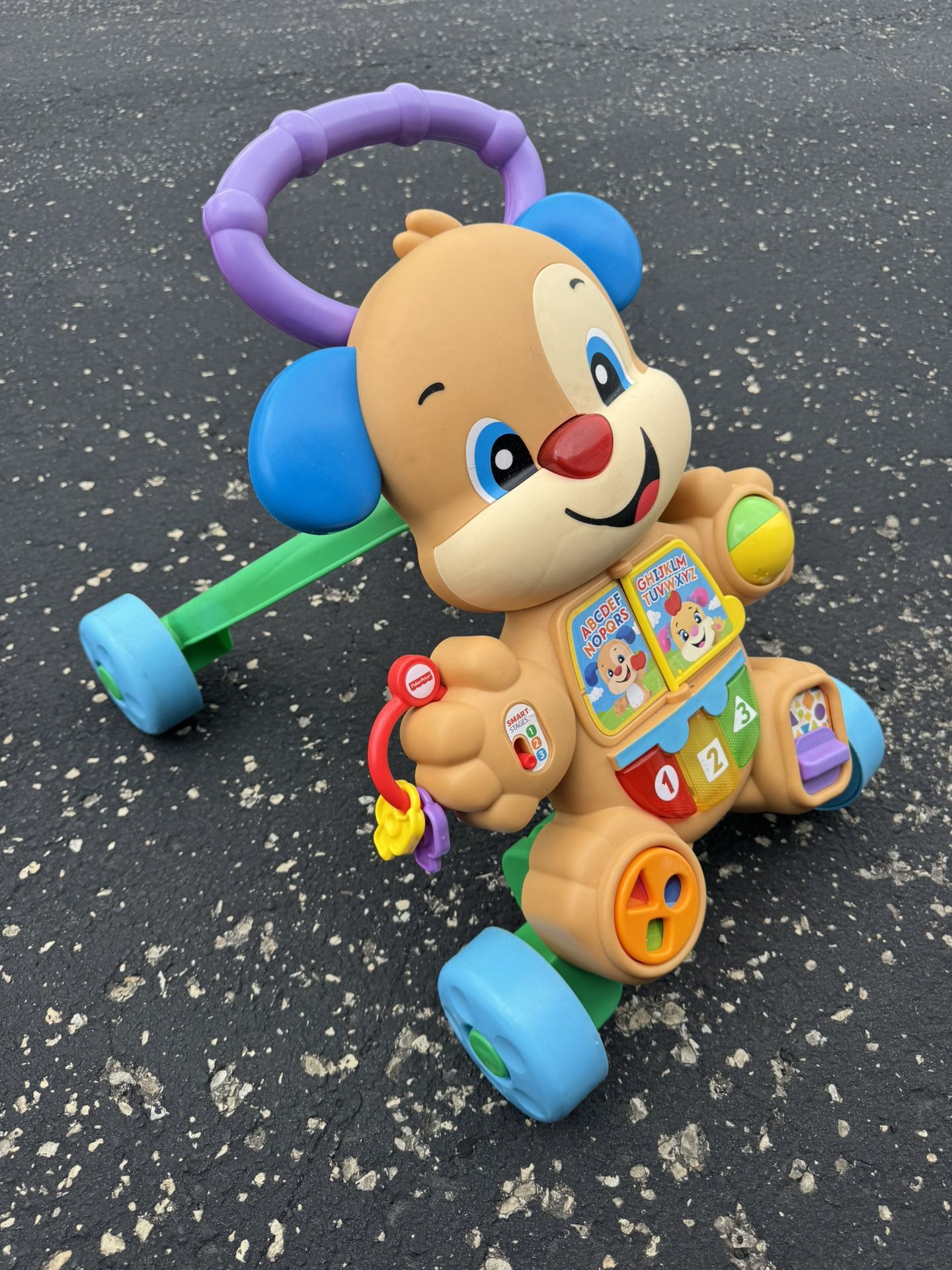 Brand New Walking Toy
