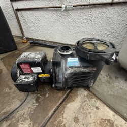 PerformancePro Artesian2 1/2 HP Koi Pond Pump
