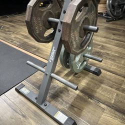 Fitness Gear Standard Weight Plate Tree with Plates