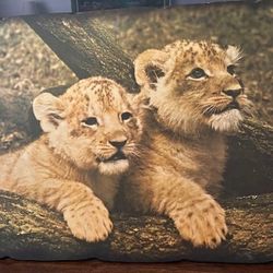 Cubs Print On Wood