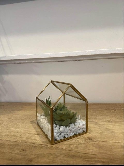 Succulent Gold House Terrarium