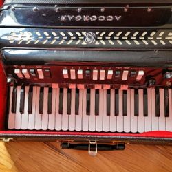 Accorgan Accordion 🪗 