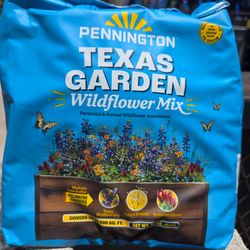 Texas Garden