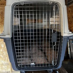 Dog crate 