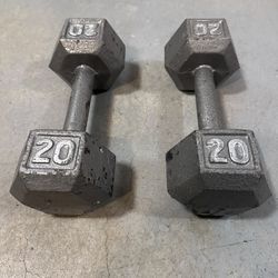 20 lb Dumbbells – Solid Iron Hex Weight