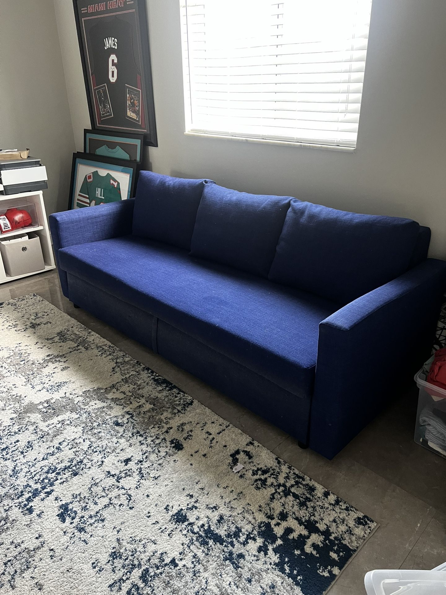 Free Futon Couch Sofa W/ Area Rug