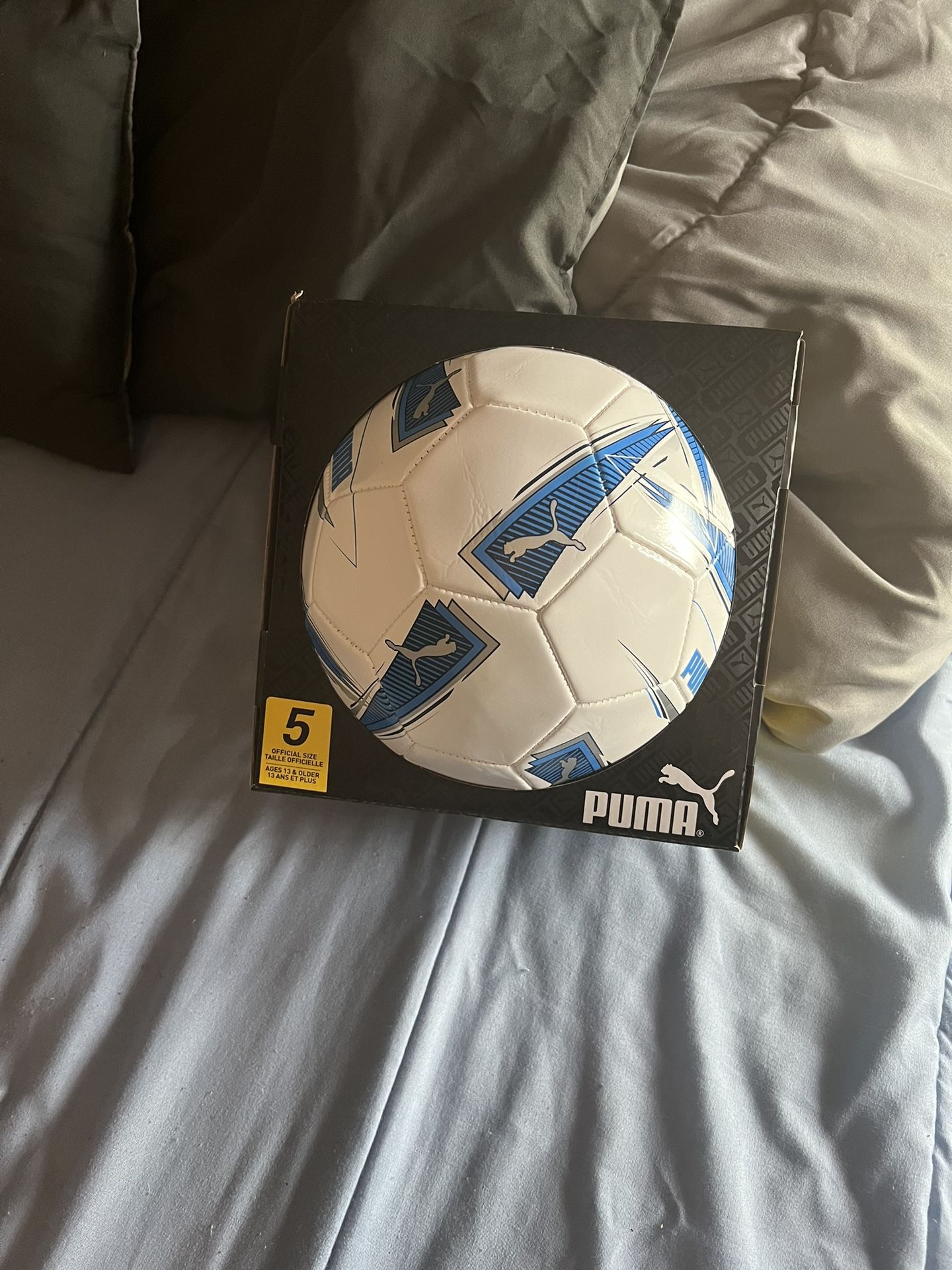 Soccer Ball Size 5 