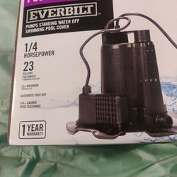Everbilt Pool Cover Pump