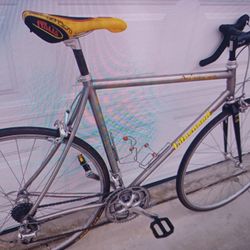 Titanium Litespeed Arenberg 