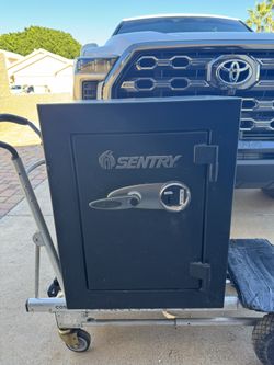 Sentry safe