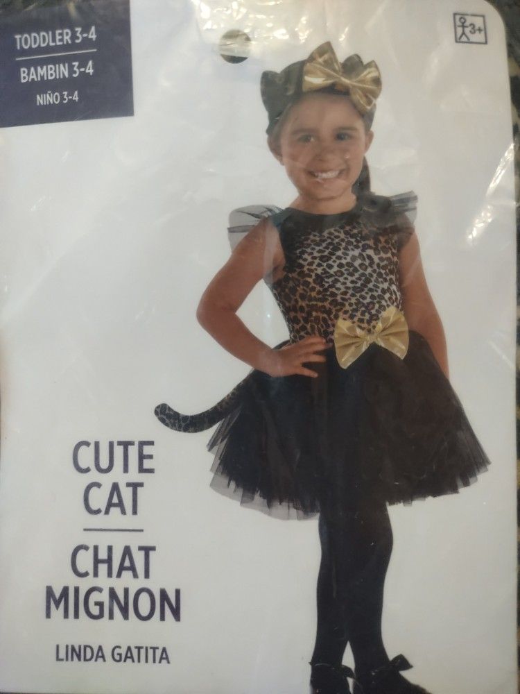 Cute Cat