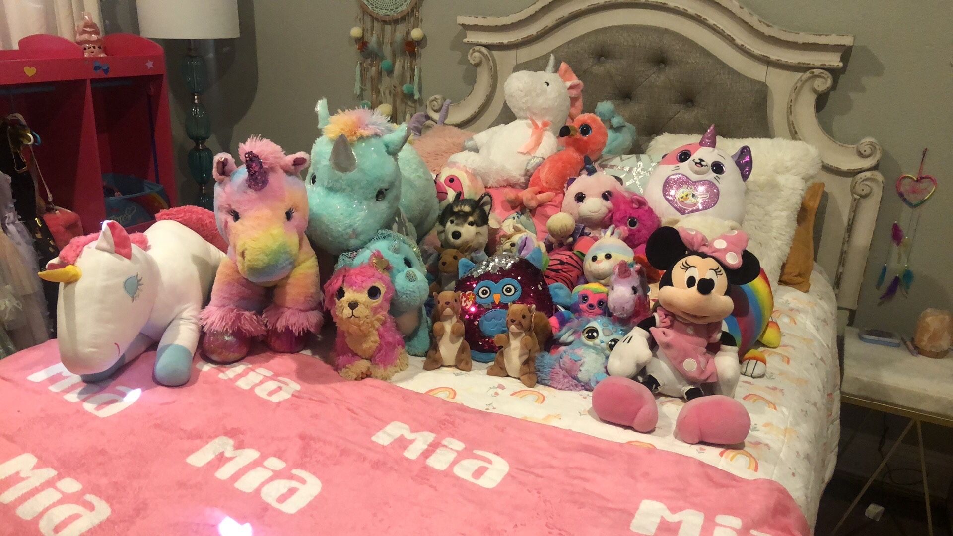 Variety Of Stuffies 