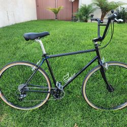 DBR Overdrive Comp 21"  9 speed cruiser 