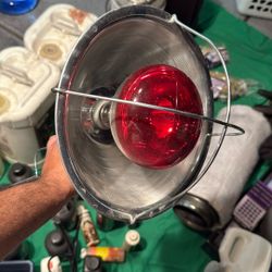 Poultry Light   Lamp 