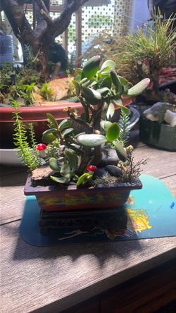 Hand crafted bonsai arrangements