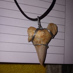 Large Real Shark Tooth Wired To A Black Cord Nwcklace With Metal Clasp