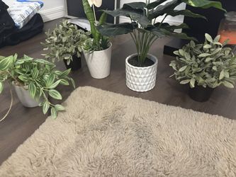 Fake Plants 