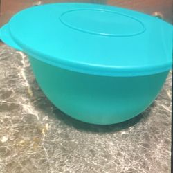 Bowl For Food