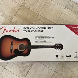 Fender Guitar Kit