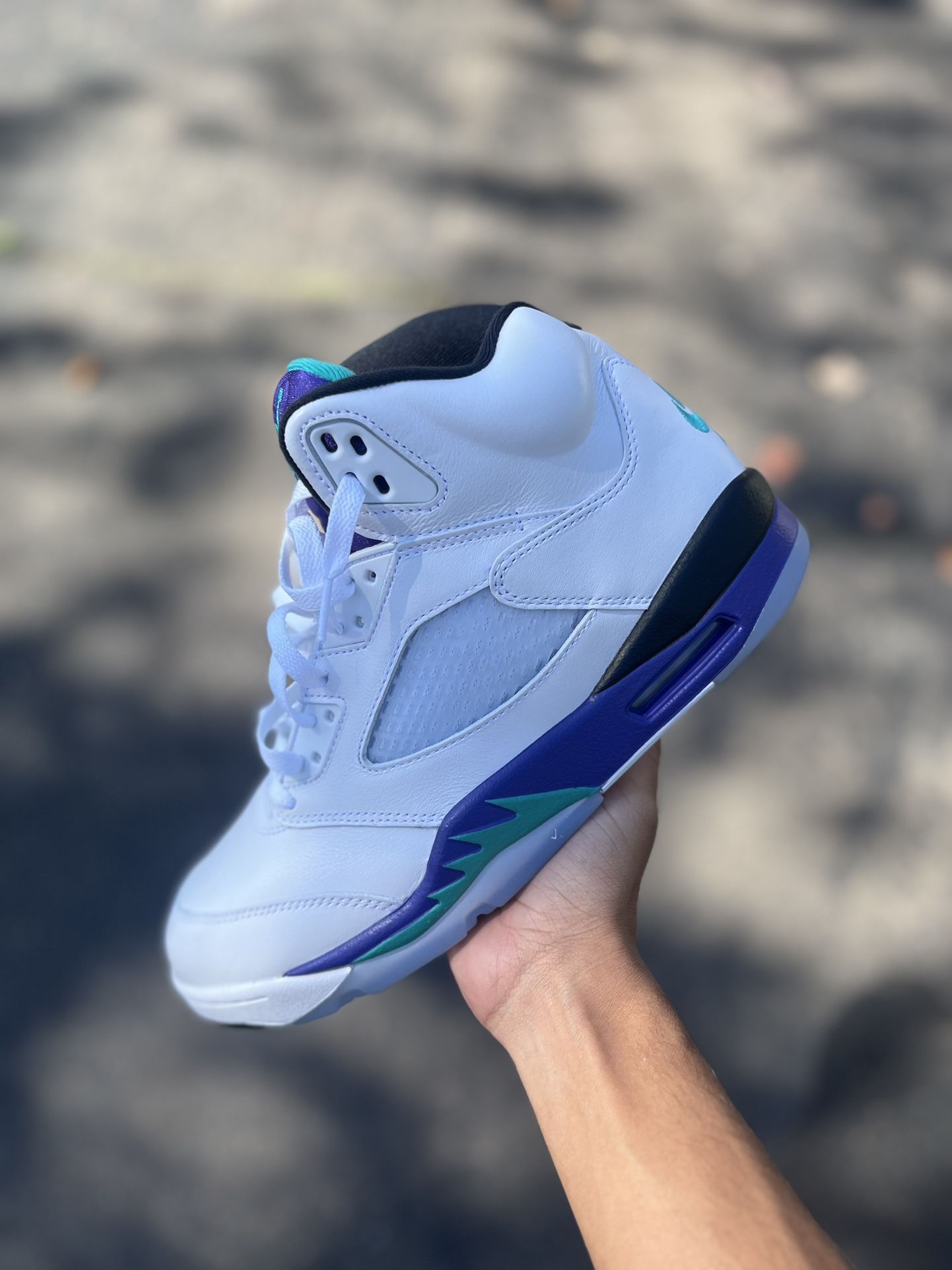 Jordan 5 Grape 2025