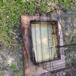 Baird Cage Nice And Beautiful 
