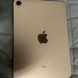 iPad Mini 6 256GB Purple 