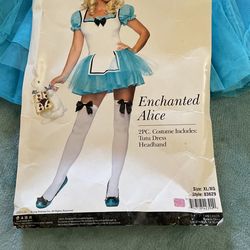 Woman’s Alice Costume
