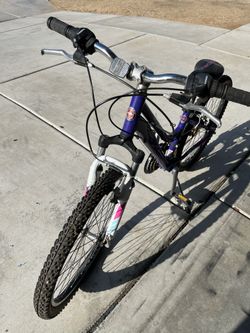 Mountain Bike