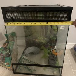 Reptile Glass terrarium 