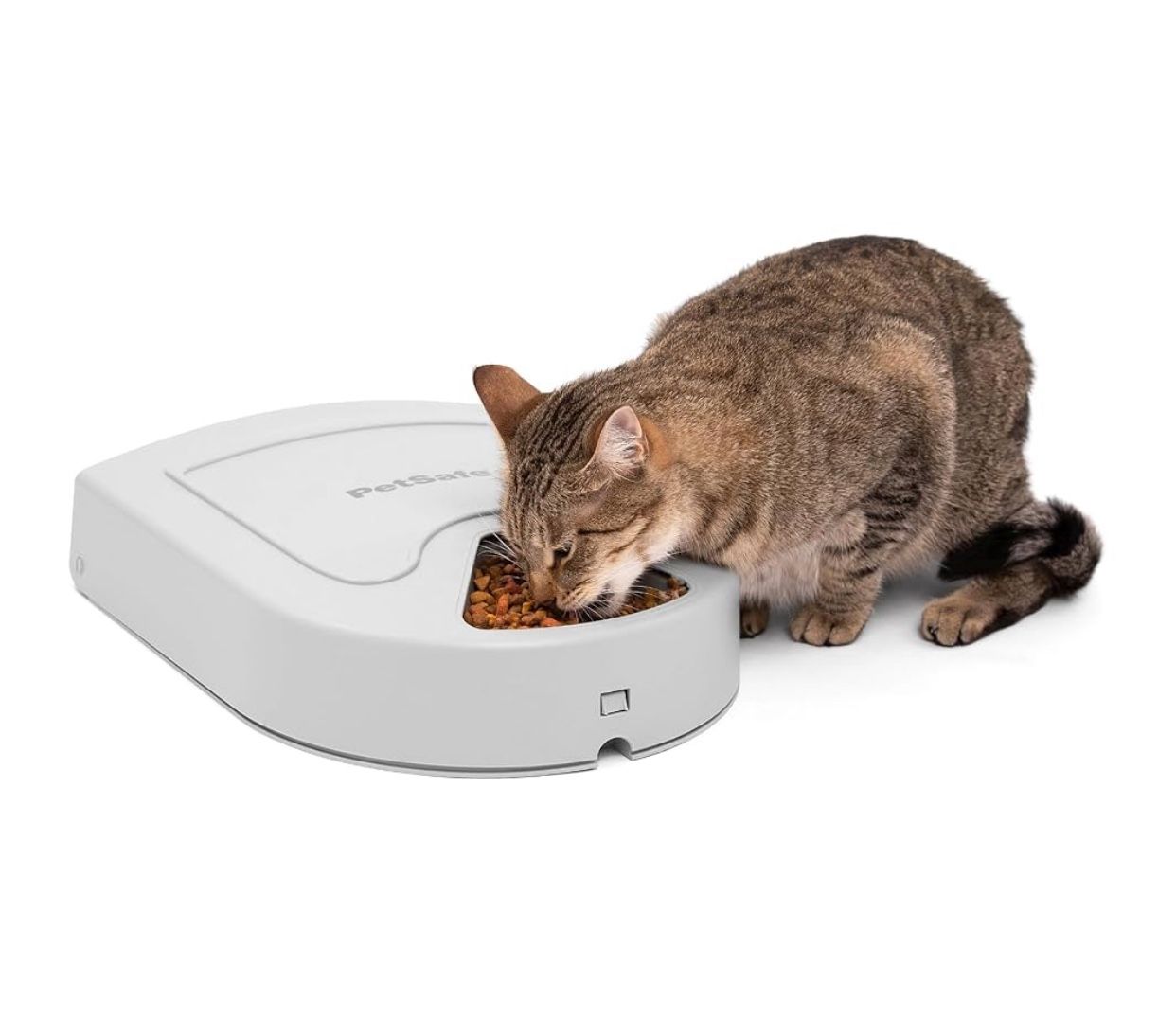 PetSafe Automatic Dog Feeder, 5 Meals, 40 oz Capacity, Plastic, for Dry Food, Multiple Pets