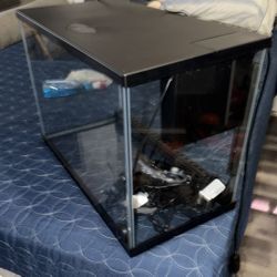 Top Fin® LED Bubble Wall Aquarium Kit fish tank 20 gallons