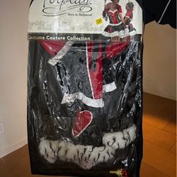 Queen Of Hearts Costume