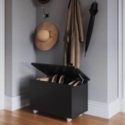 Chest & Storage Trunk for Blankets, Balls, Shoes, Clothes - Entryway Storage Box with Lid