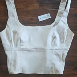 Aritzia Top