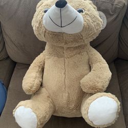 Teddy  bear 20"   